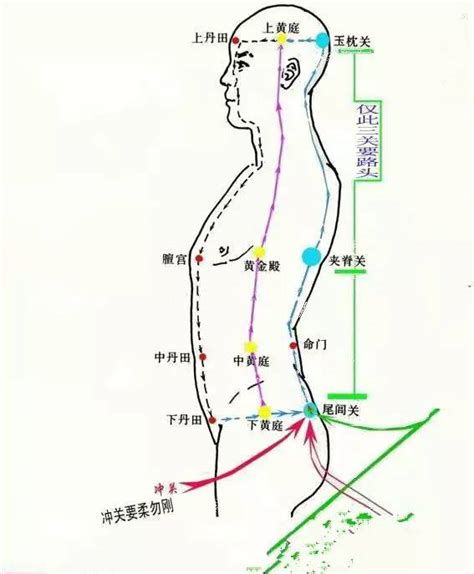 玄关穴|千古丹经所隐